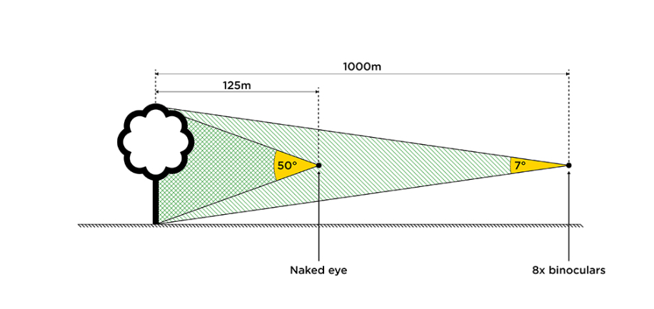 info-916-433 info-916-433